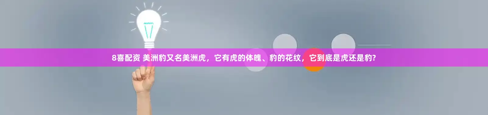 8喜配资 美洲豹又名美洲虎，它有虎的体魄、豹的花纹，它到底是虎还是豹?